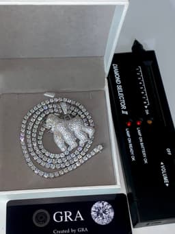 VVS Moissanite Diamond Gorilla π¦ Pendant with Tennis Neck Chain π